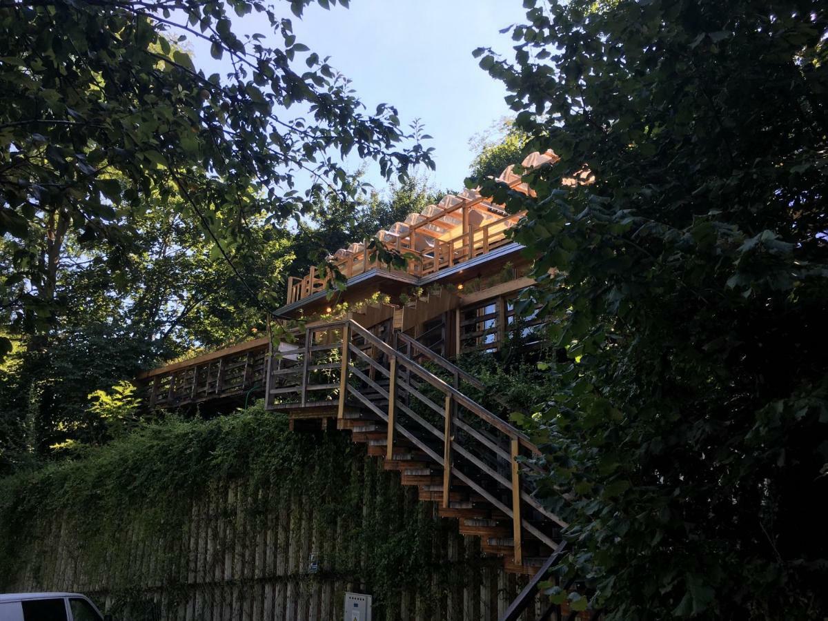Skay Loft Panzió Brassó Kültér fotó