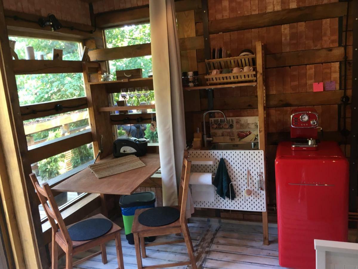 Skay Loft Panzió Brassó Kültér fotó