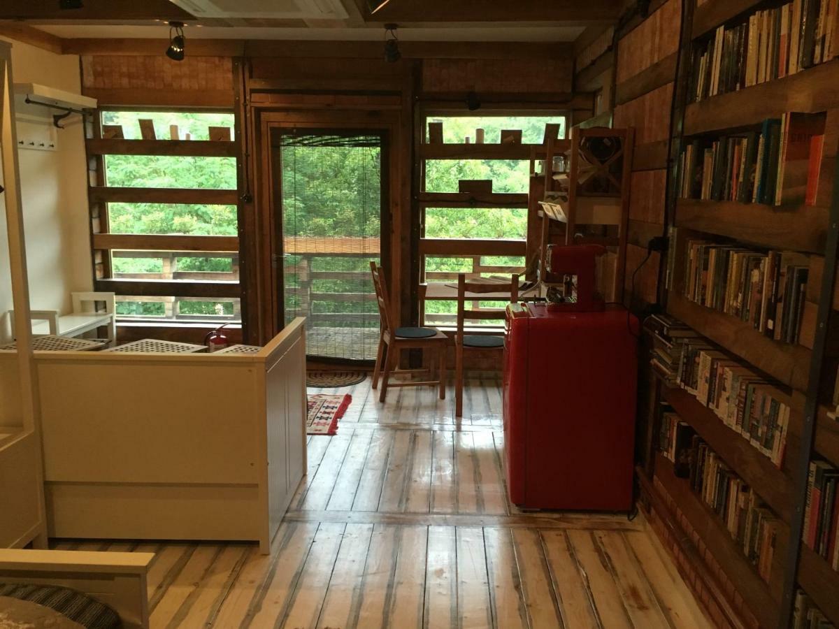 Skay Loft Panzió Brassó Kültér fotó
